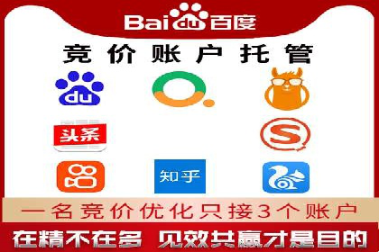 SEM竞价代运营：案例解读行业趋势